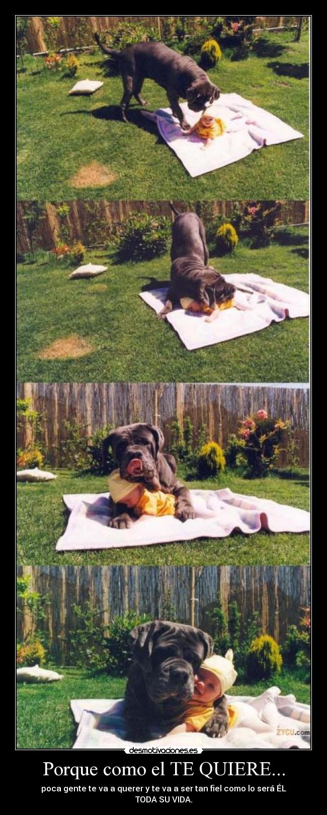 carteles  desmotivaciones