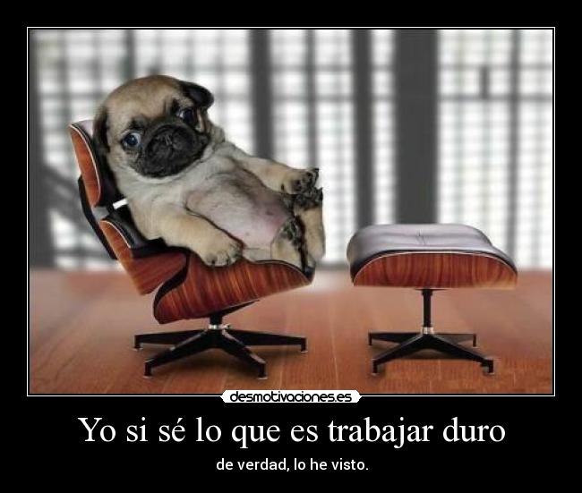 Yo si sé lo que es trabajar duro -