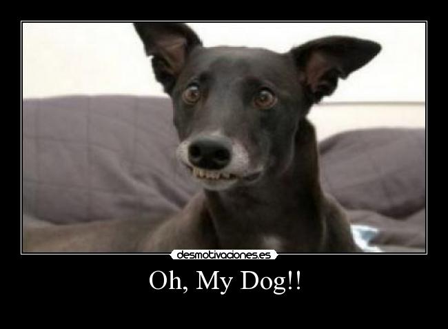 Oh, My Dog!! -