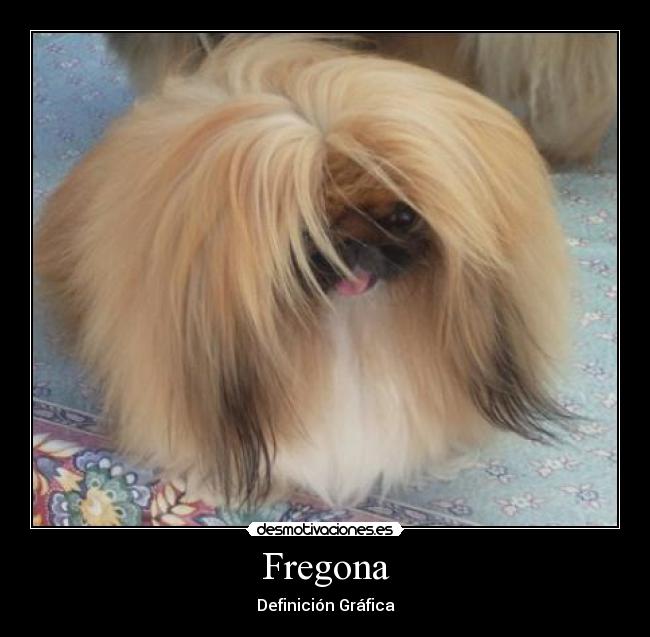 carteles perro pelos definicion grafica desmotivaciones