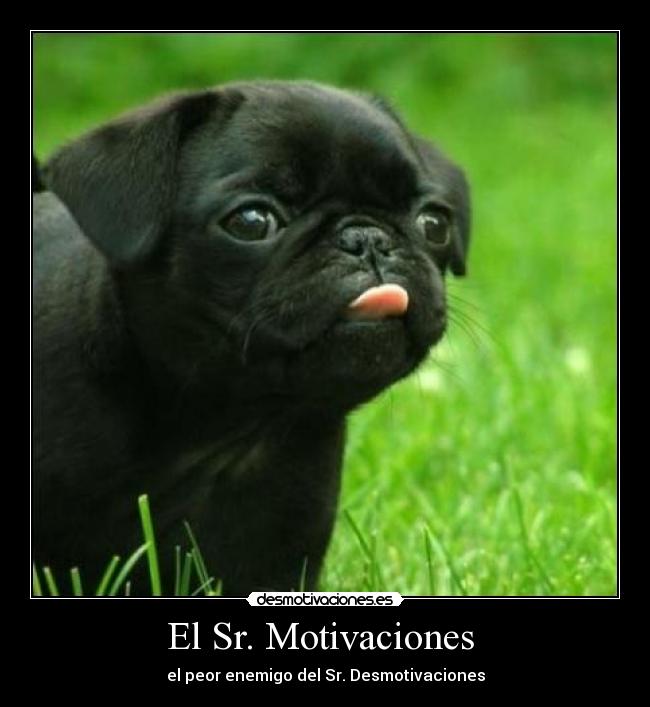 El Sr. Motivaciones  - 