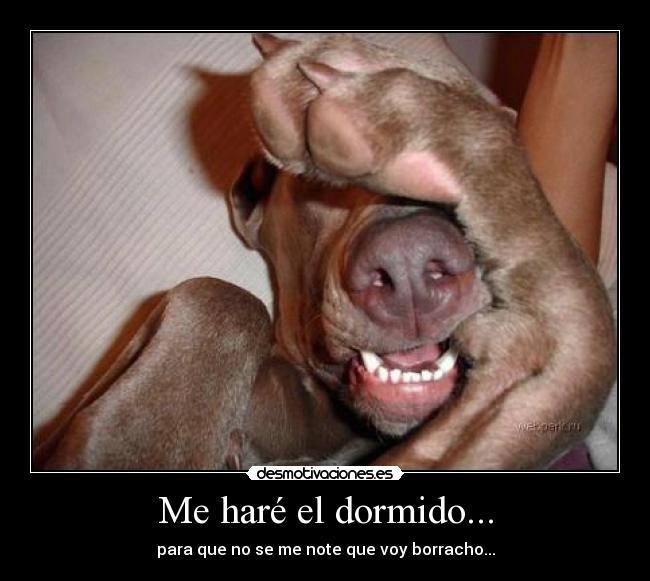 Me haré el dormido... -
