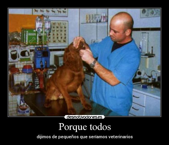 Porque todos - dijimos de pequeños que seríamos veterinarios