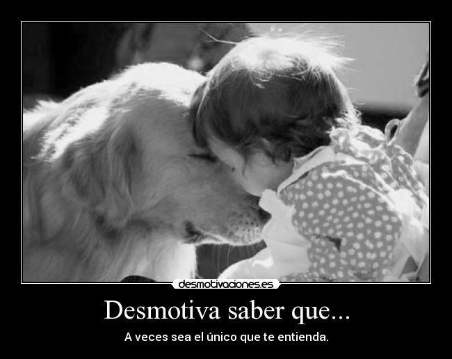 Desmotiva saber que... -