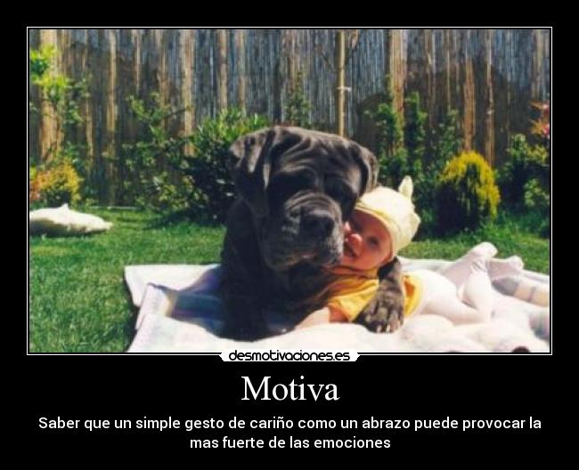 Motiva - 