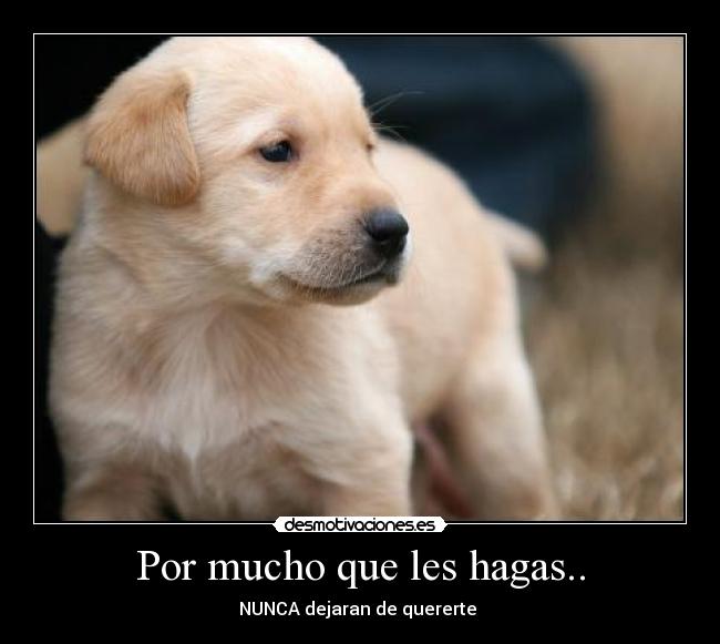 Por mucho que les hagas.. - 