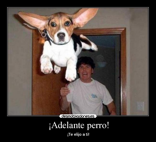 ¡Adelante perro! - 