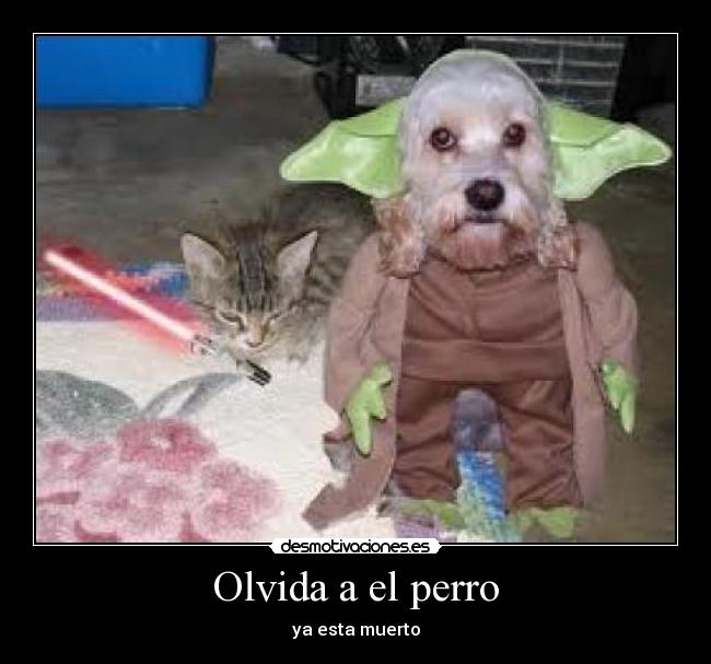 Olvida a el perro - 