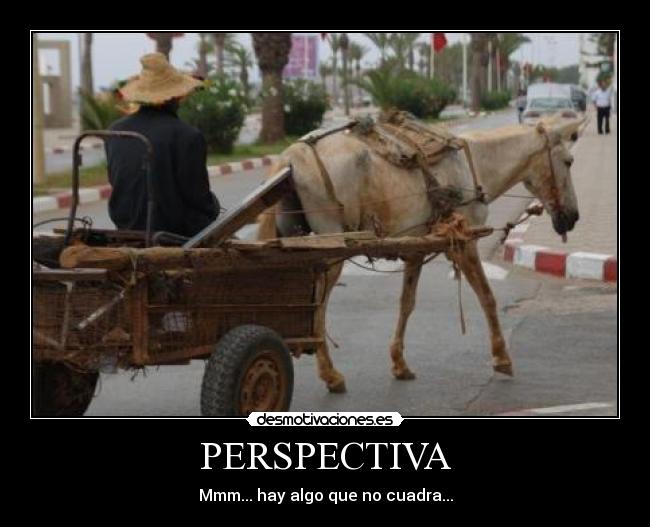 PERSPECTIVA - 