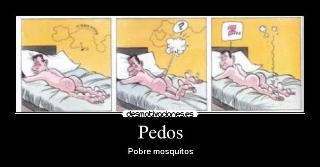 Pedos - Pobre mosquitos
