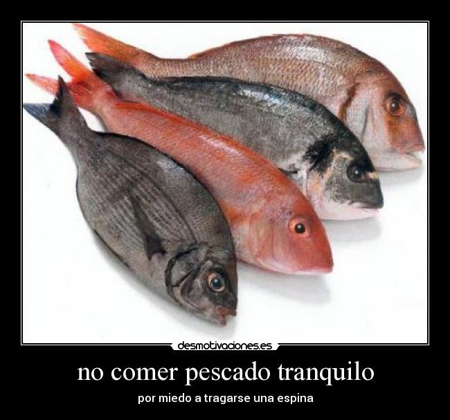 no comer pescado tranquilo - por miedo a tragarse una espina