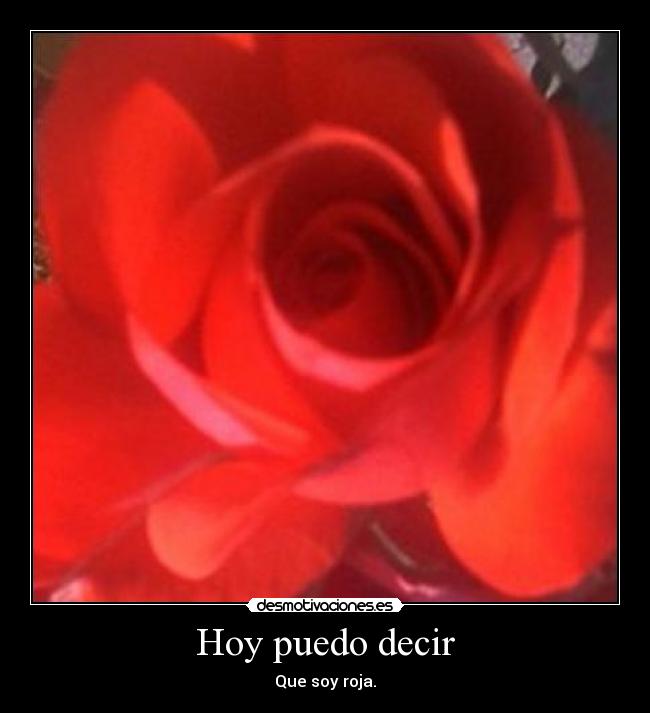 carteles categoria roja desmotivaciones