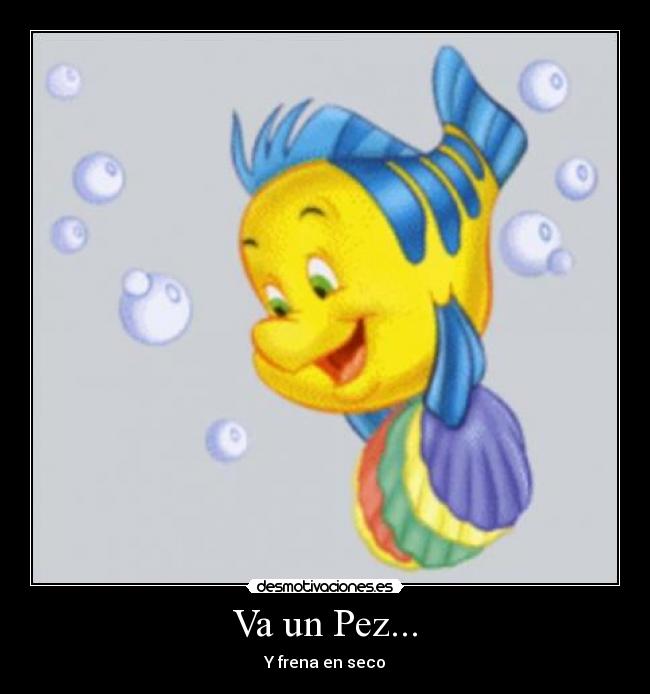 Va un Pez... - Y frena en seco