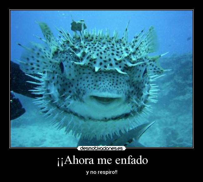 ¡¡Ahora me enfado -