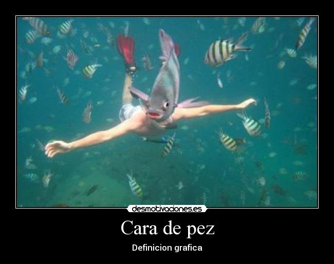 Cara de pez - Definicion grafica