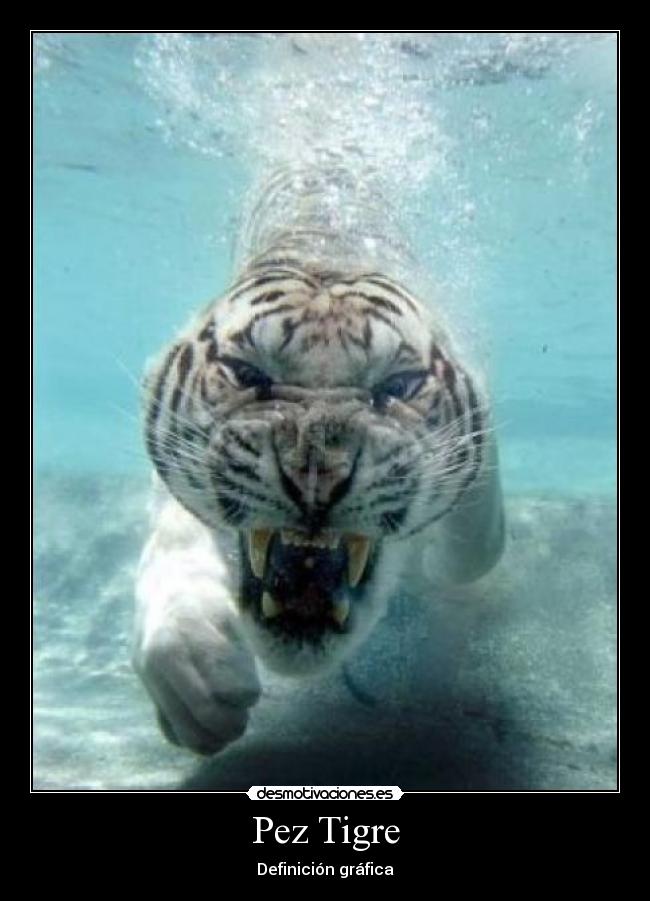 carteles definicion desmotivaciones