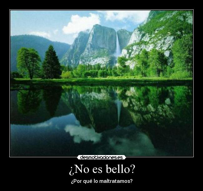 ¿No es bello? - 