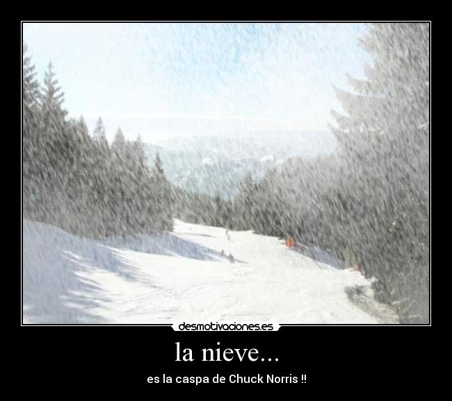la nieve... - es la caspa de Chuck Norris !!