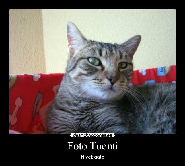 Foto Tuenti - 