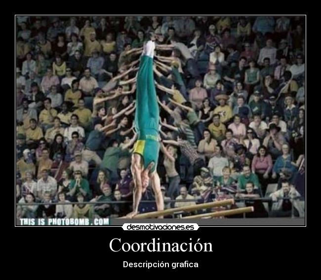 Coordinación - Descripción grafica