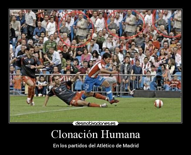 Clonación Humana - 