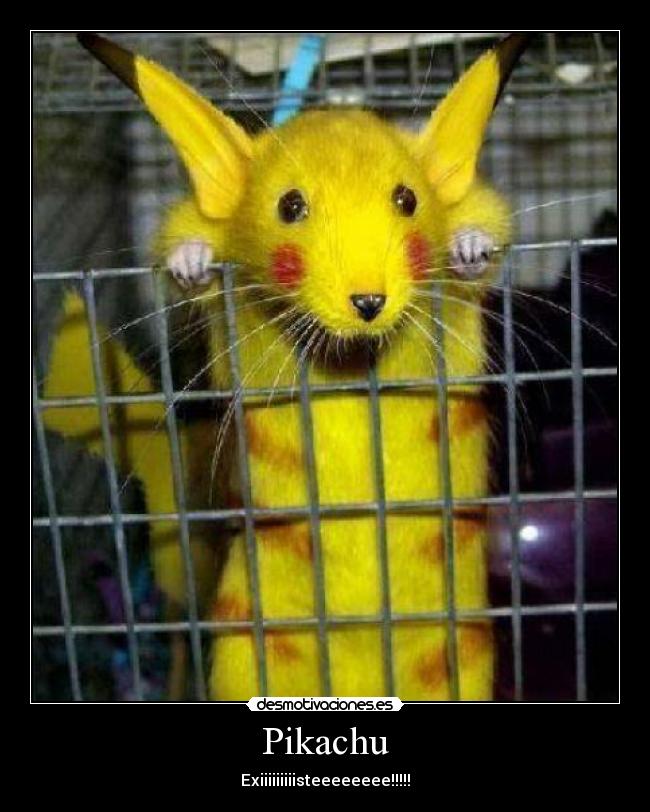 Pikachu - Exiiiiiiiiisteeeeeeee!!!!!