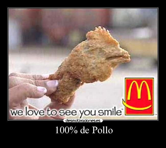 100% de Pollo -