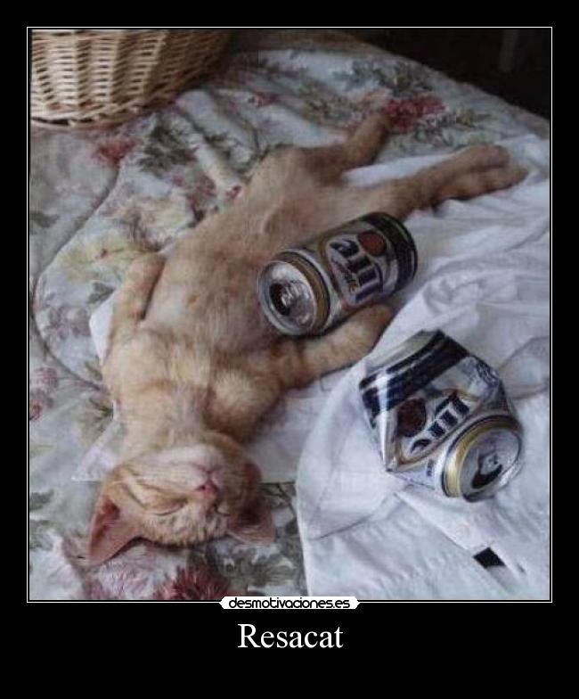 Resacat - 