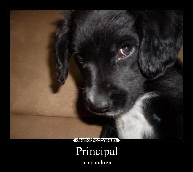 Principal - o me cabreo