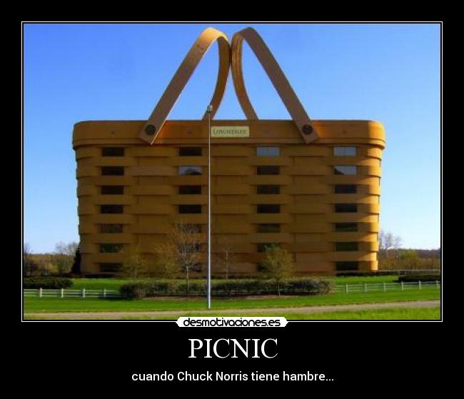 PICNIC - 