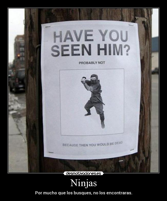 Ninjas - 