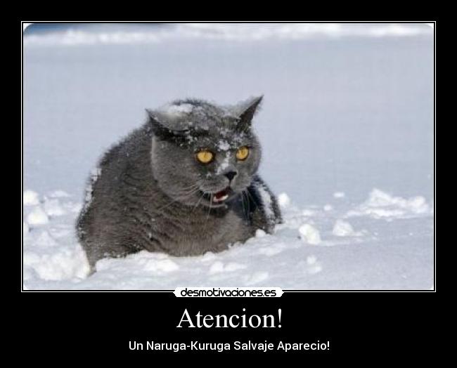 Atencion! - Un Naruga-Kuruga Salvaje Aparecio!