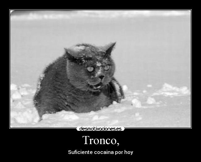 Tronco, - Suficiente cocaina por hoy