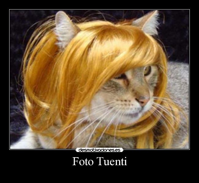 Foto Tuenti - 