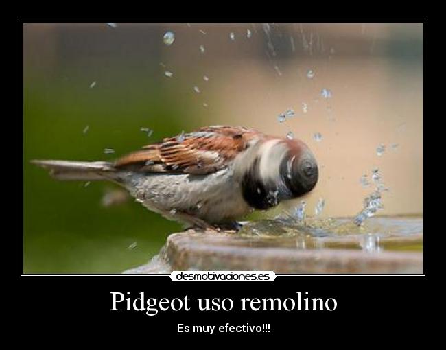 Pidgeot uso remolino - Es muy efectivo!!!