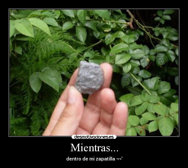 Mientras... -