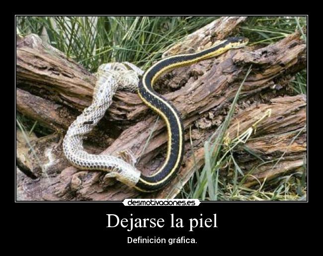 Dejarse la piel - 