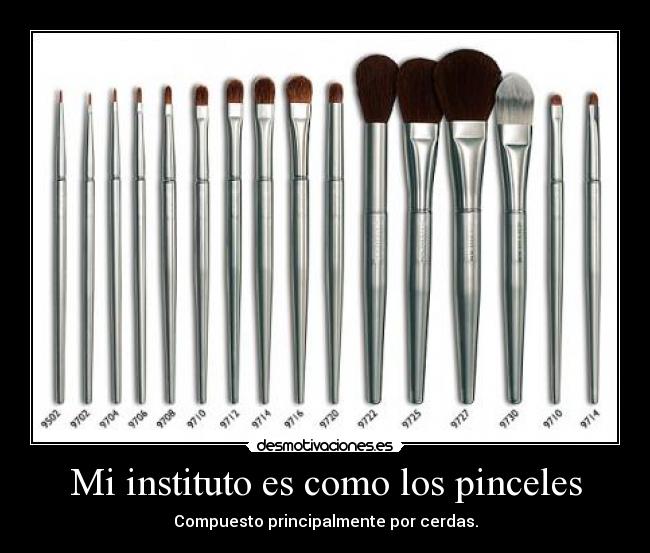 Mi instituto es como los pinceles - Compuesto principalmente por cerdas.