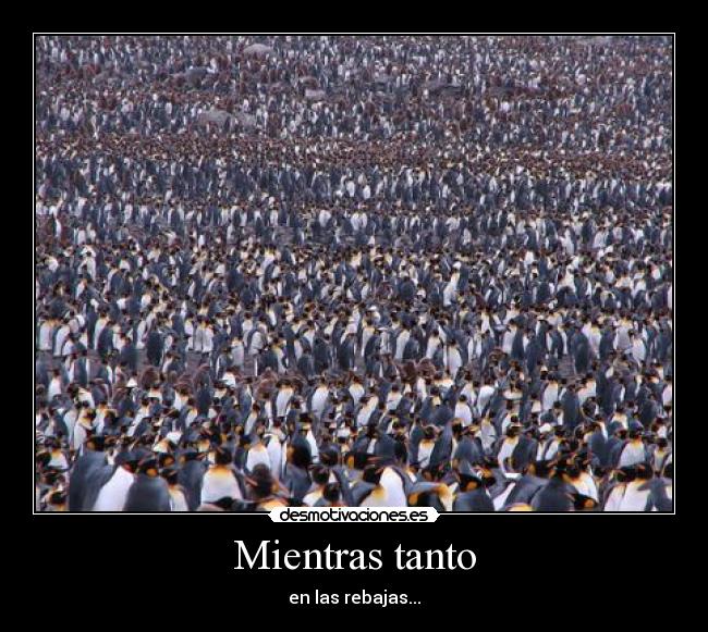 Mientras tanto - en las rebajas...