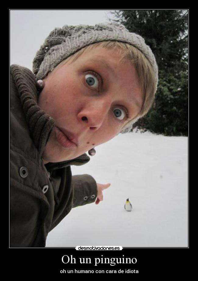 Oh un pinguino - 
