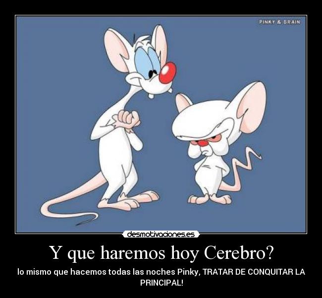Y que haremos hoy Cerebro? -
