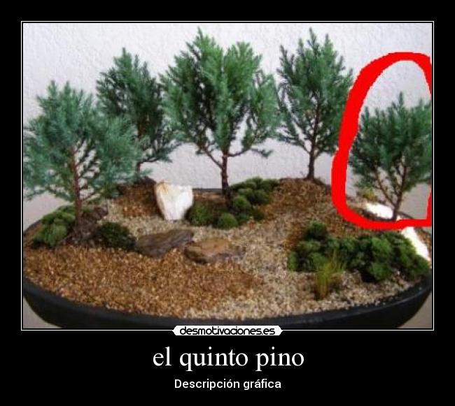 el quinto pino -