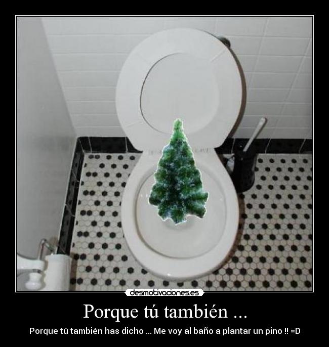 Porque tú también ... -