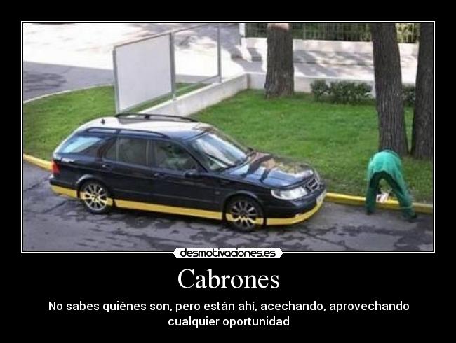 Cabrones - 