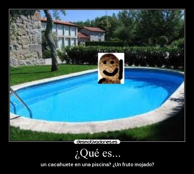 ¿Qué es... - un cacahuete en una piscina? ¿Un fruto mojado?