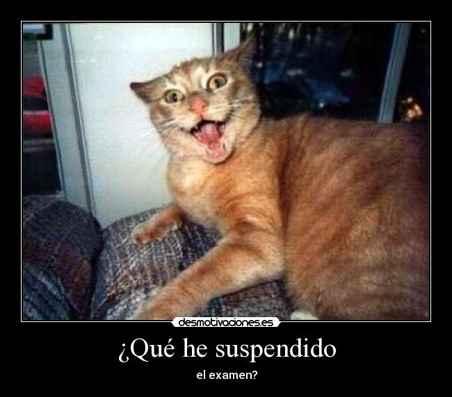 ¿Qué he suspendido - el examen?