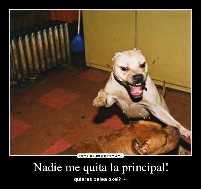 carteles principal desmotivaciones