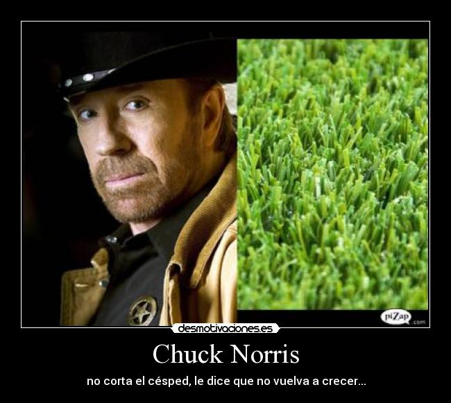 Chuck Norris -