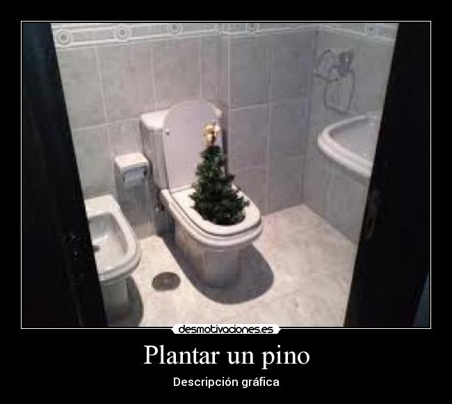 carteles plantar pino cagar adry15 desmotivaciones