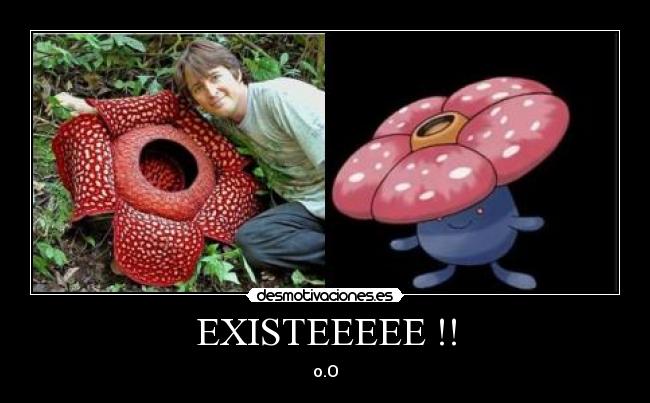 EXISTEEEEE !! - o.O